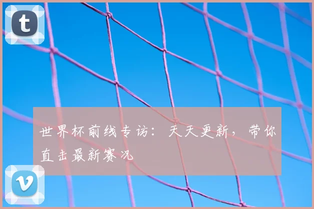 世界杯前线专访：天天更新，带你直击最新赛况