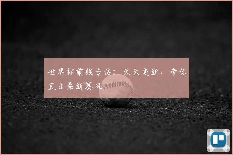世界杯前线专访：天天更新，带你直击最新赛况