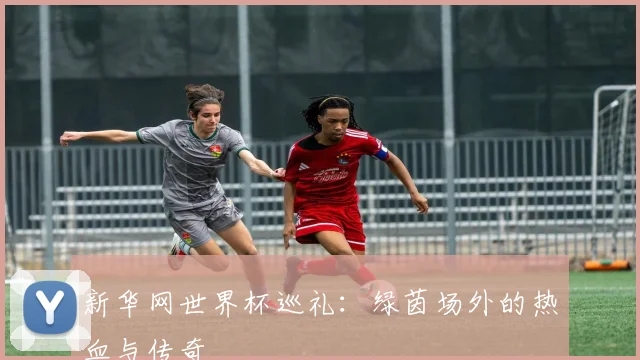 新华网世界杯巡礼：绿茵场外的热血与传奇