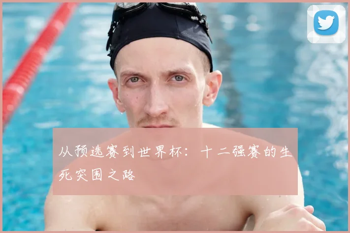 从预选赛到世界杯：十二强赛的生死突围之路