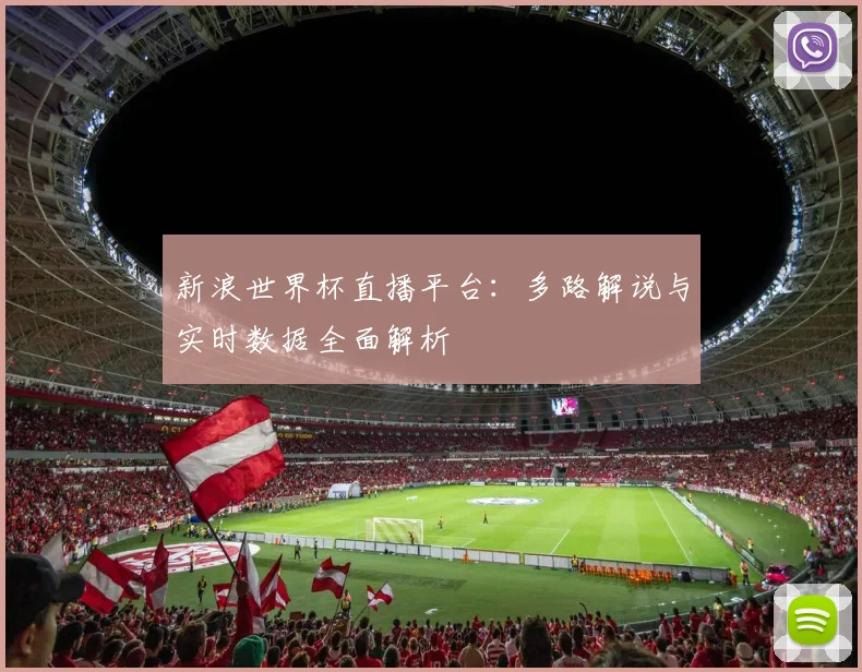 新浪世界杯直播平台：多路解说与实时数据全面解析