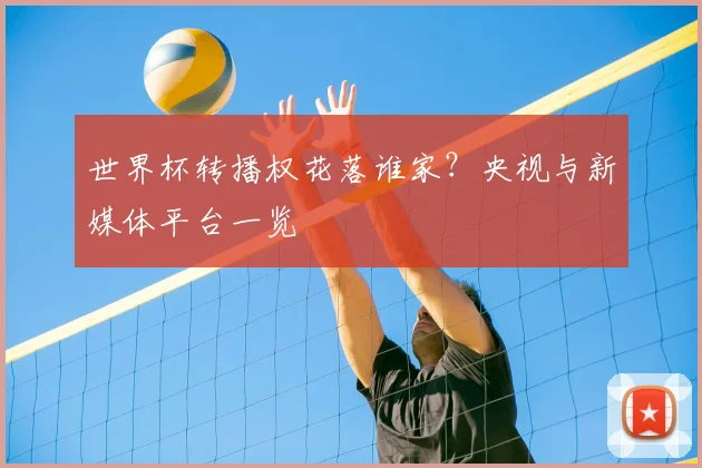世界杯转播权花落谁家？央视与新媒体平台一览