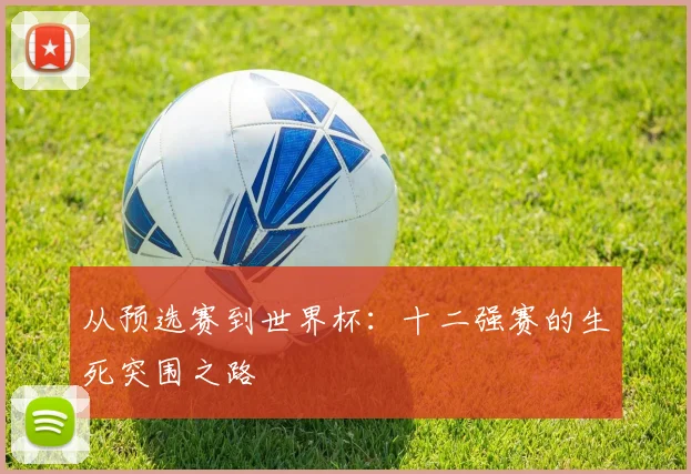 从预选赛到世界杯：十二强赛的生死突围之路