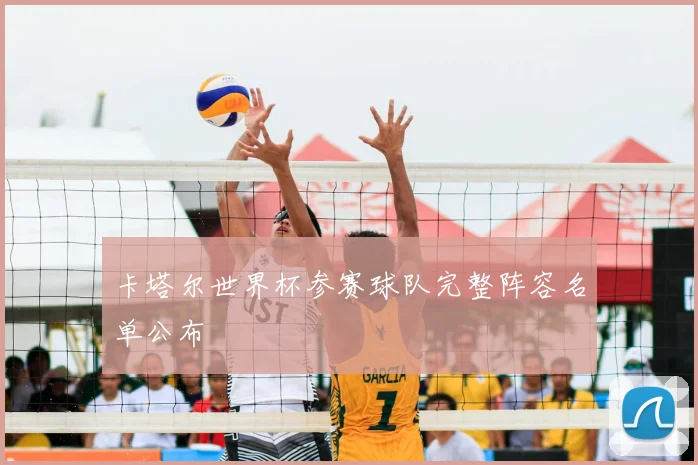 卡塔尔世界杯参赛球队完整阵容名单公布